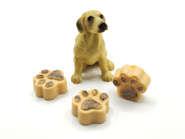 🐾 Petite patte parfumée