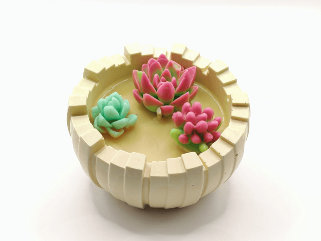 Bougie “Jardin de Cactus” – Patchouli