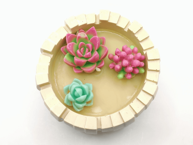 Bougie “Jardin de Cactus” – Patchouli