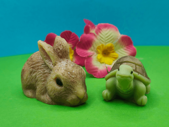 Le lièvre et la tortue 